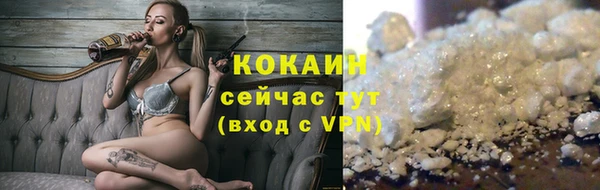 спайс Ельня