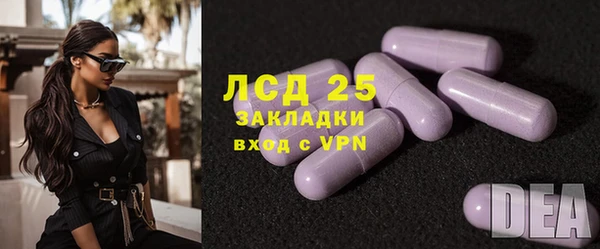 шишки Елабуга