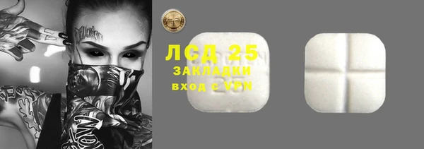 спайс Ельня
