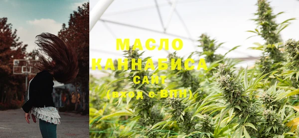 спайс Ельня