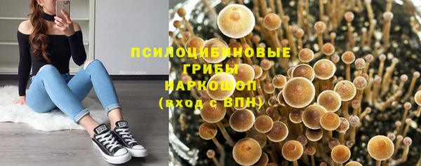 шишки Елабуга