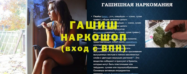 спайс Ельня