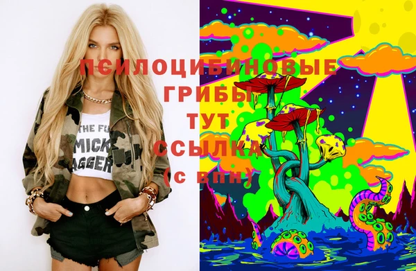 синтетический гашиш Елизово