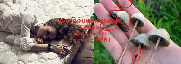 шишки Елабуга