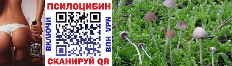 Псилоцибиновые грибы MAGIC MUSHROOMS  даркнет сайт  Няндома 